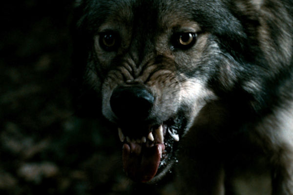 La marca del lobo