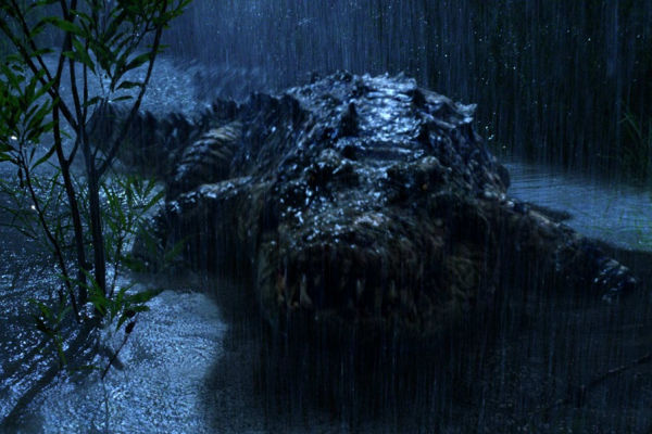 Cocodrilo, un asesino en serie