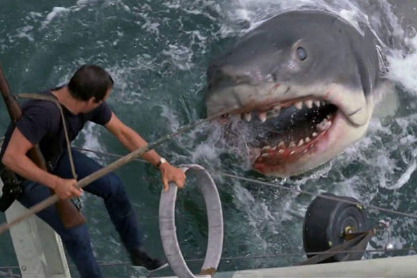 Tiburón