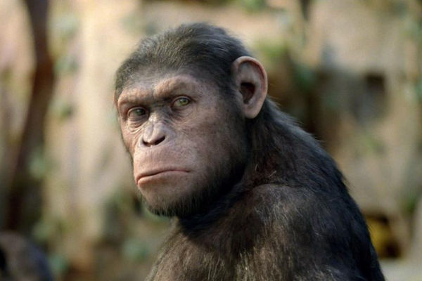 El origen del Planeta de los Simios
